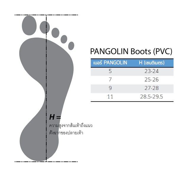 ตารางไซส์ รองเท้าบูทเซฟตี้ พีวีซี pangolin pvc safety boots size