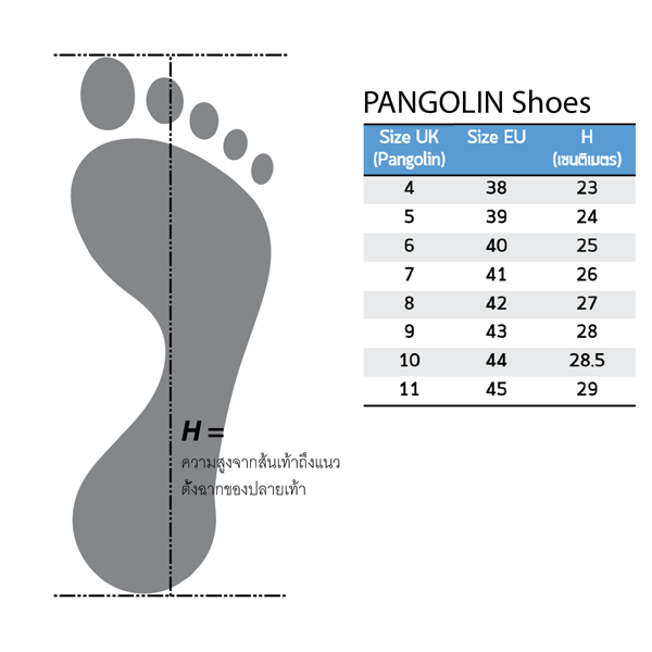 ตารางไซส์ รองเท้าเซฟตี้ผู้ชาย pangolin safety shoes size male